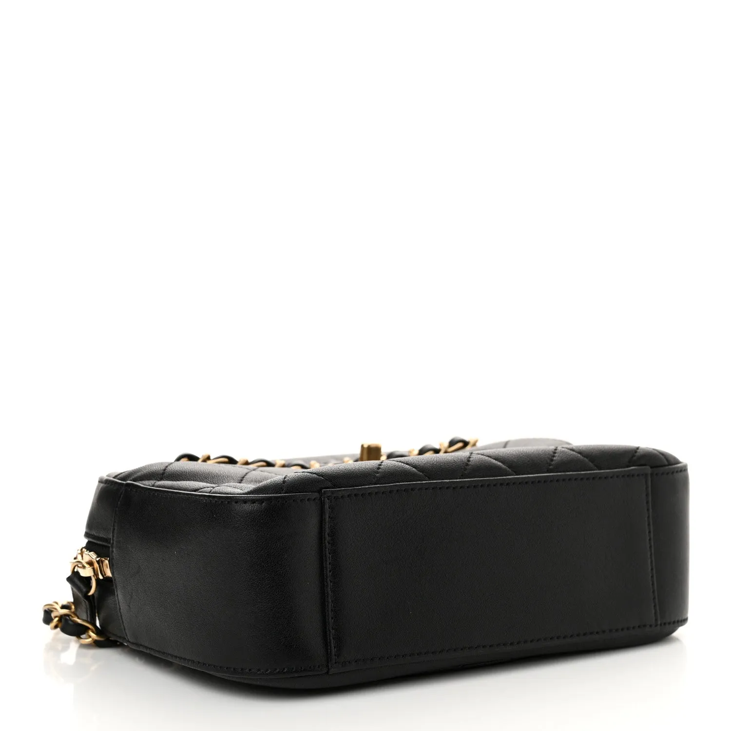 Chanel Goatskin Quilted 19 Camera Case