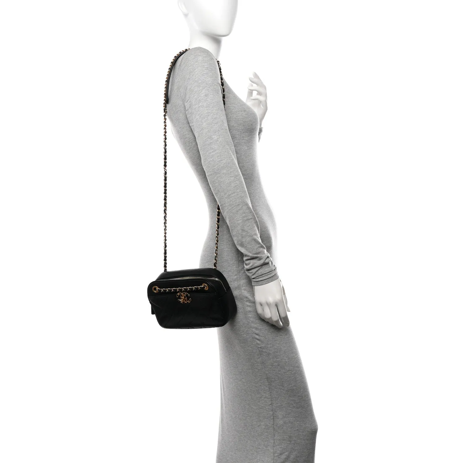 Chanel Goatskin Quilted 19 Camera Case