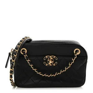 Chanel Goatskin Quilted 19 Camera Case