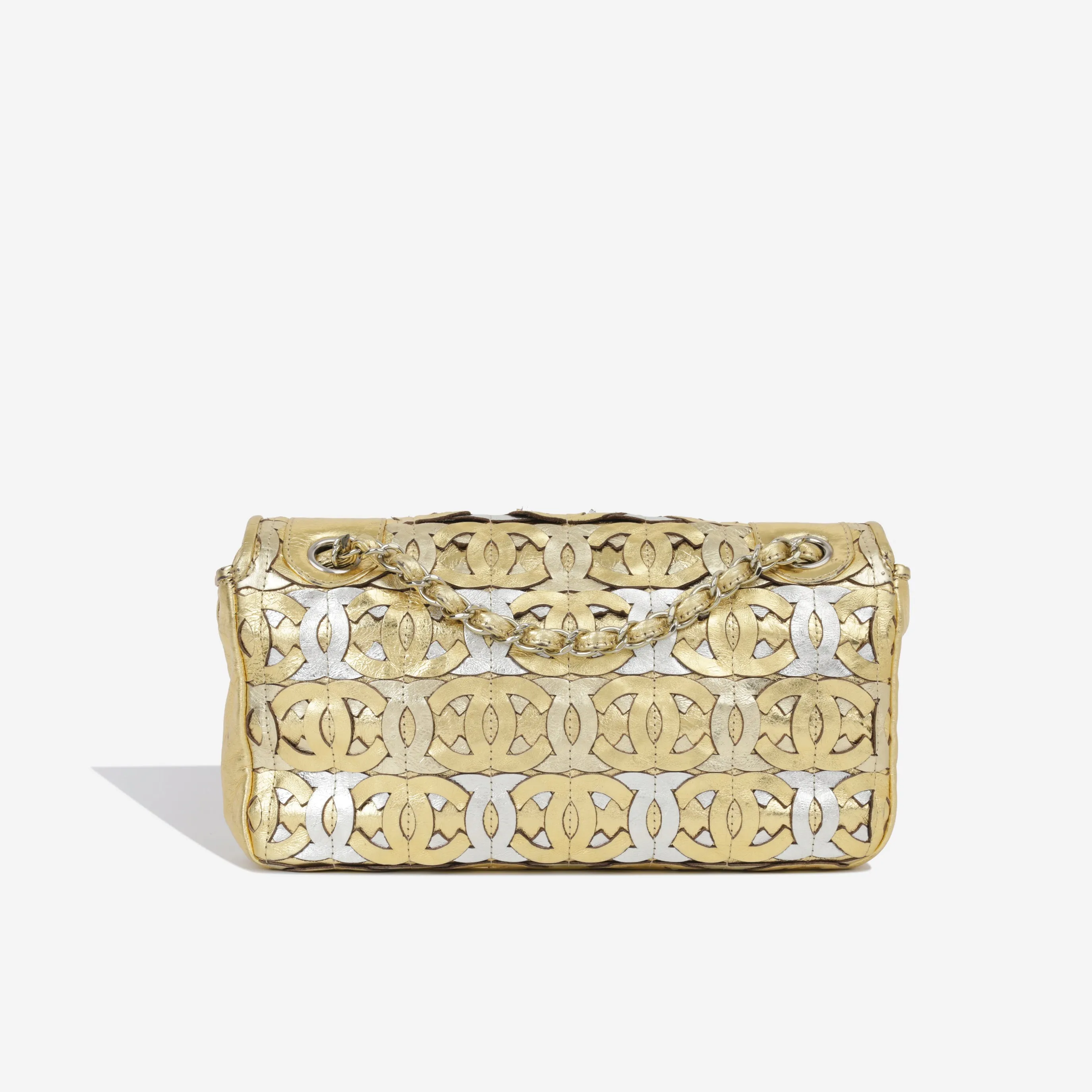 Chanel Seasonal Flap Bag