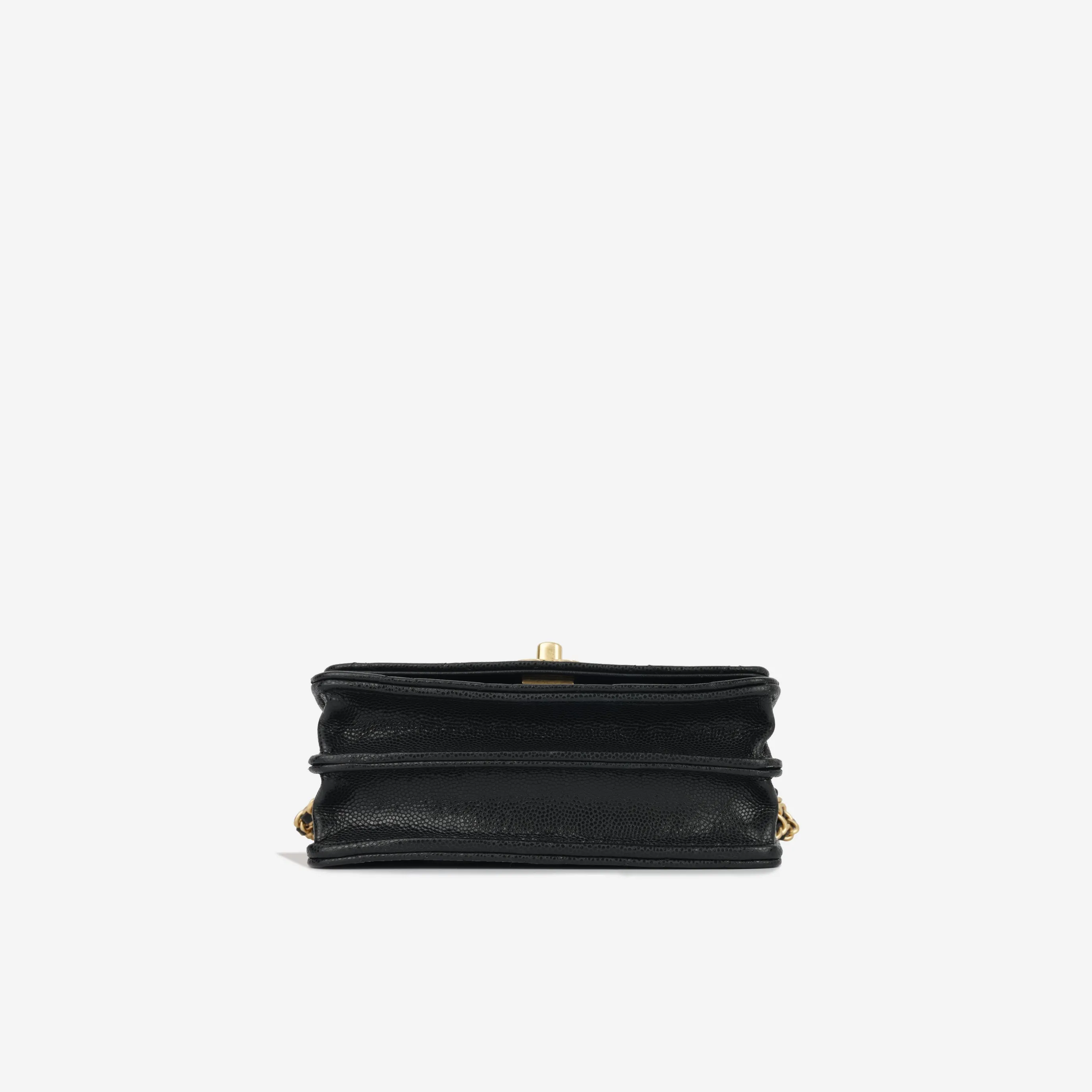 Chanel Small Clutch on Chain