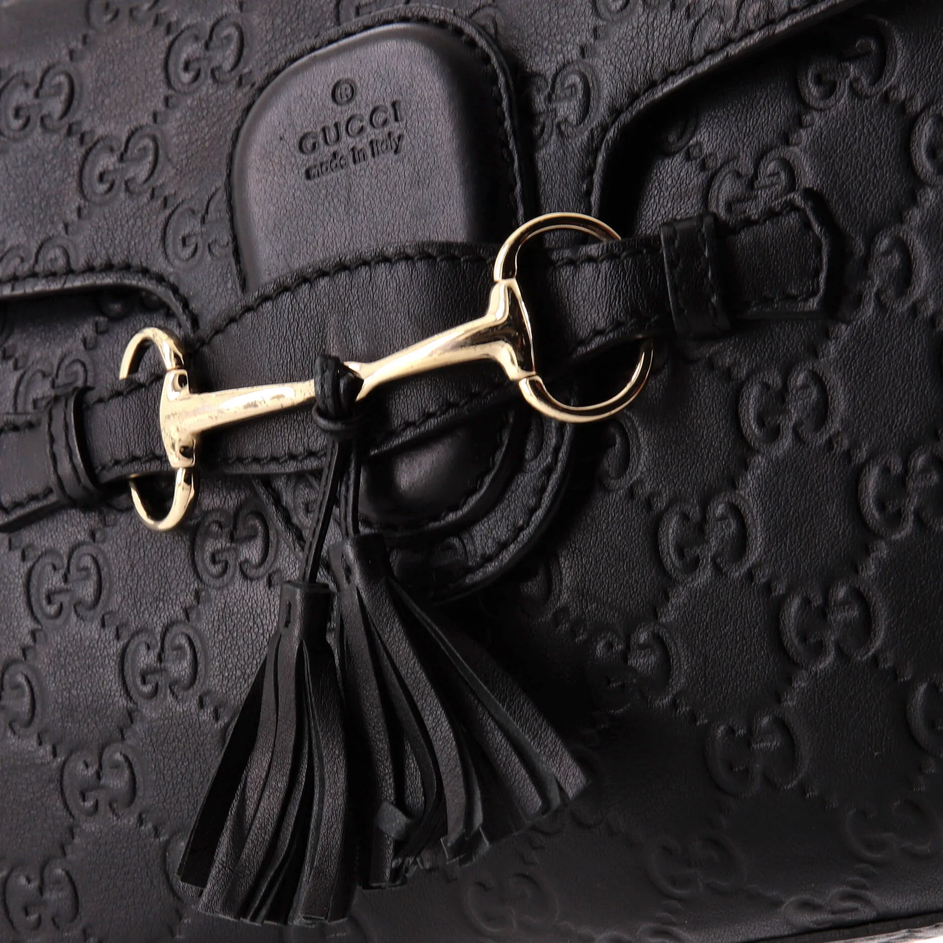 Emily Chain Flap Bag Guccissima Leather