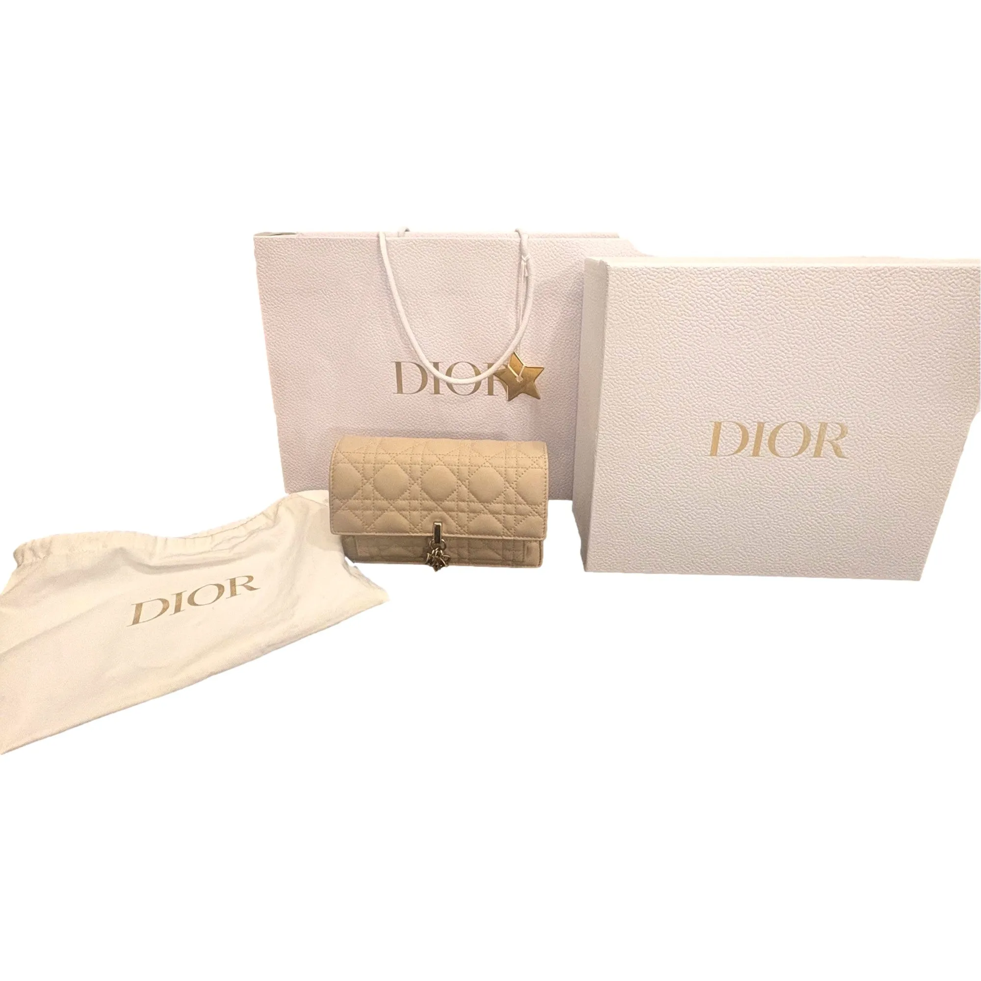 My Dior Daily Pouch with Chain Powder Beige Cannage Lambskin