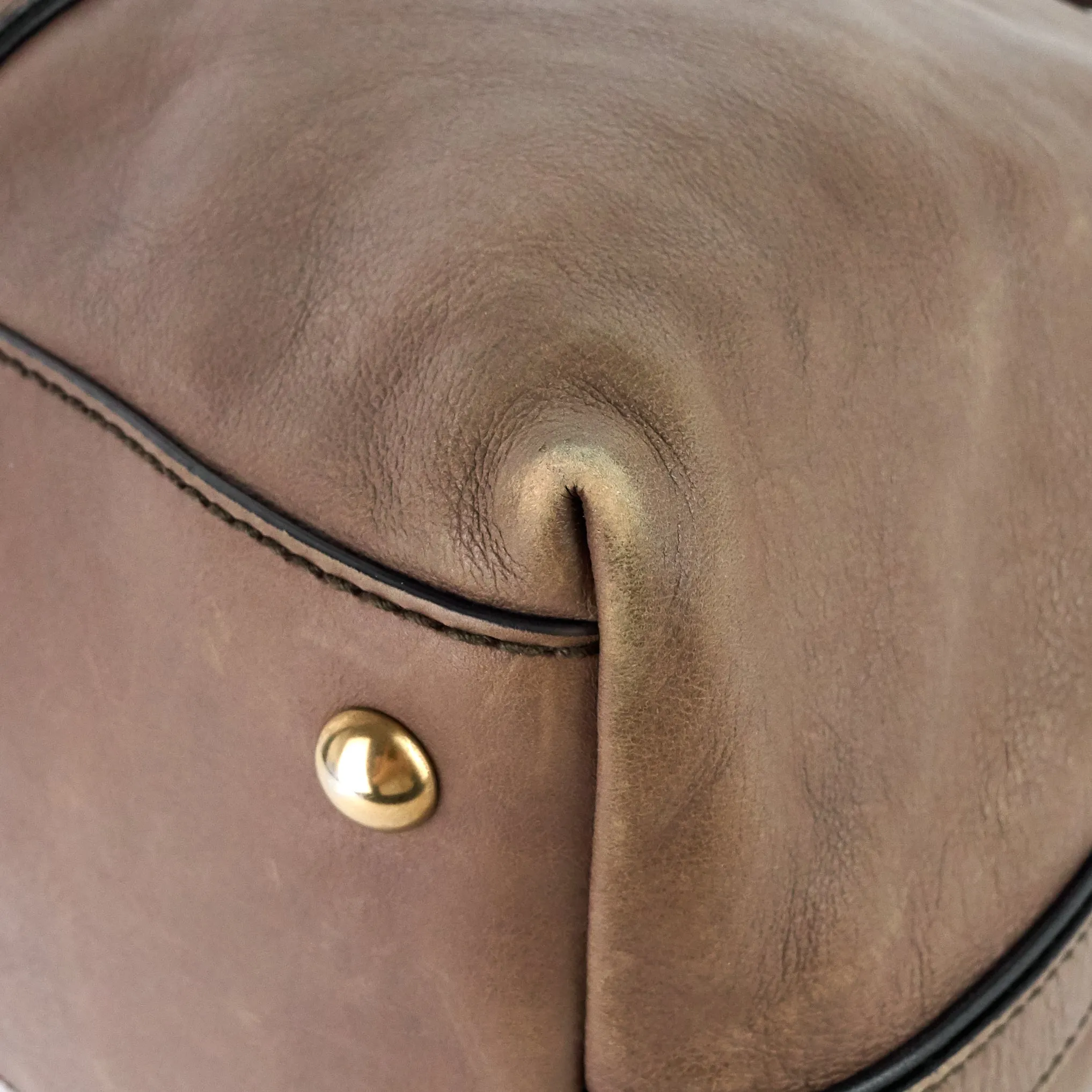 Raina Web Top Handle Medium Leather Bag
