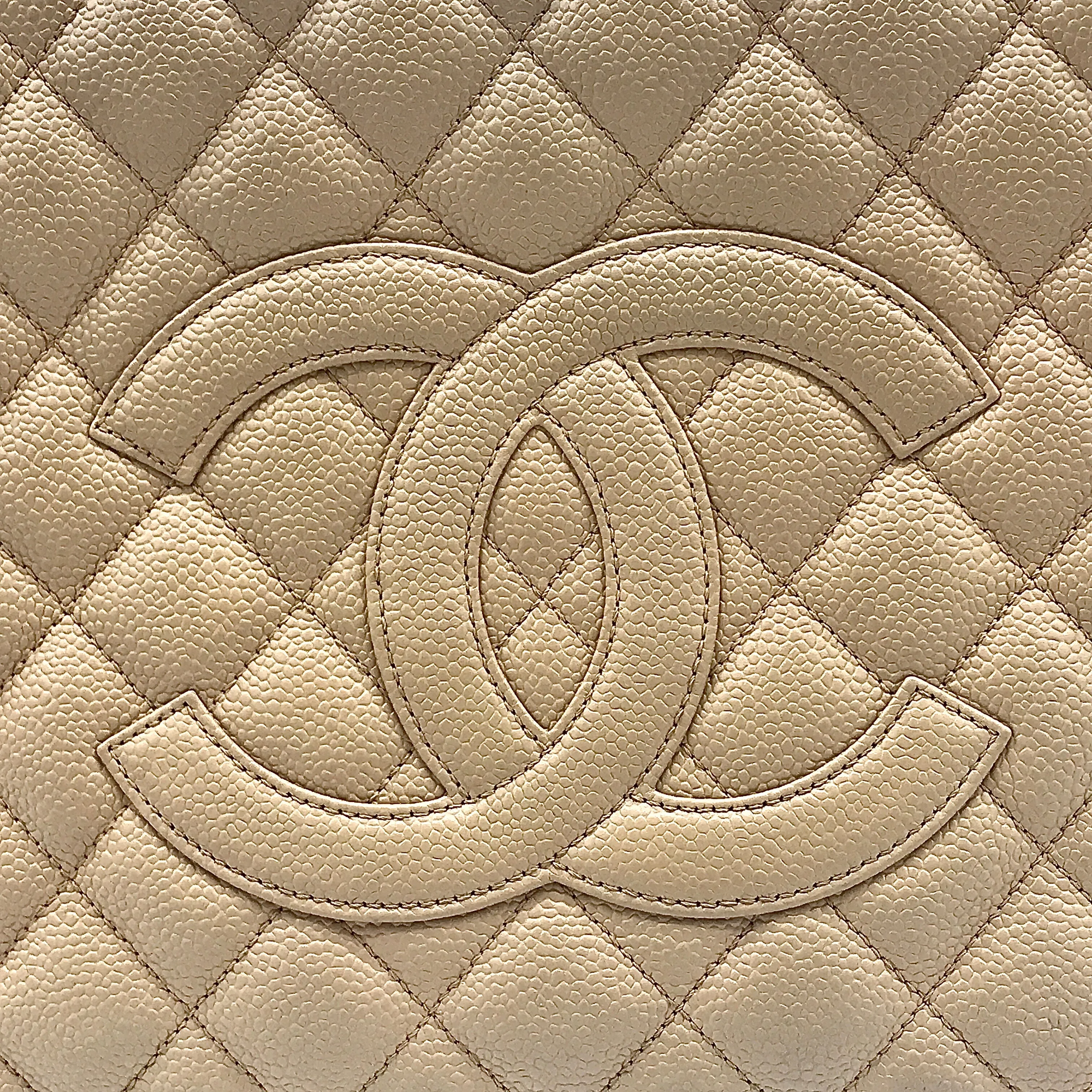 Vintage Chanel Bag (COLLECTIBLE)