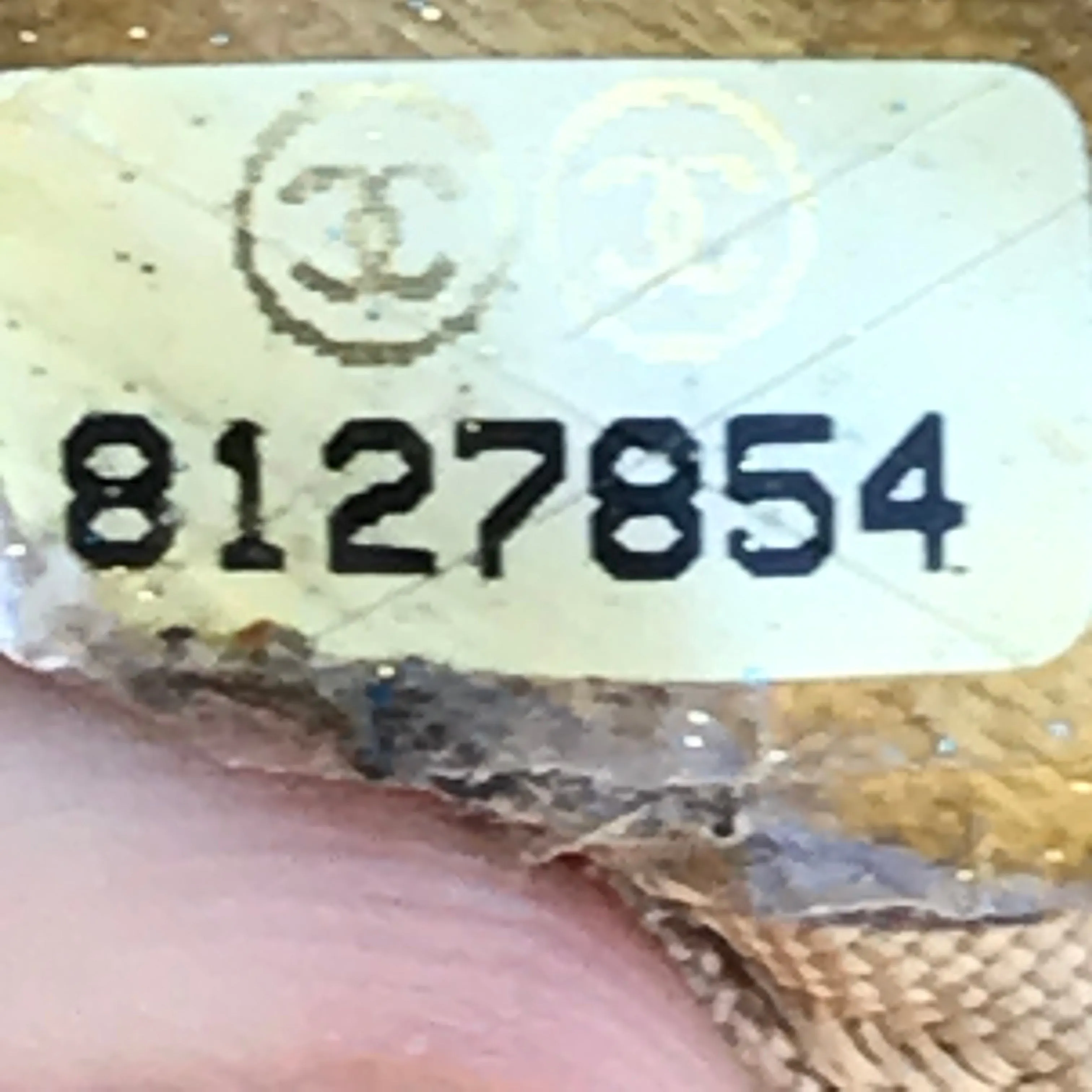 Vintage Chanel Bag